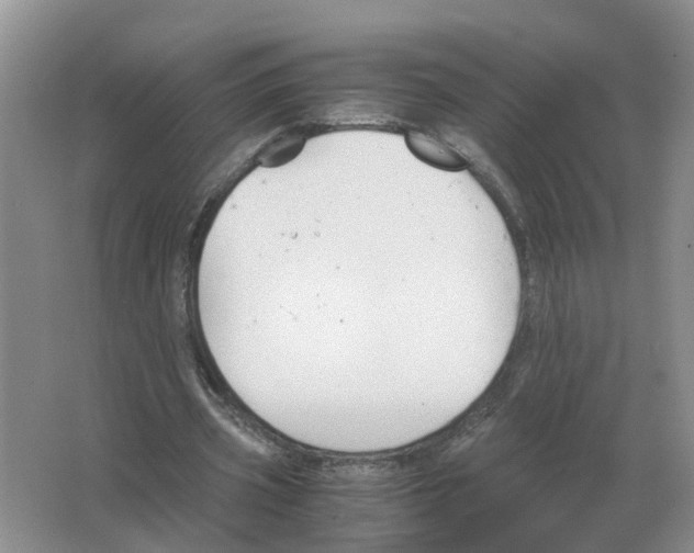 X0000063520533200602172217