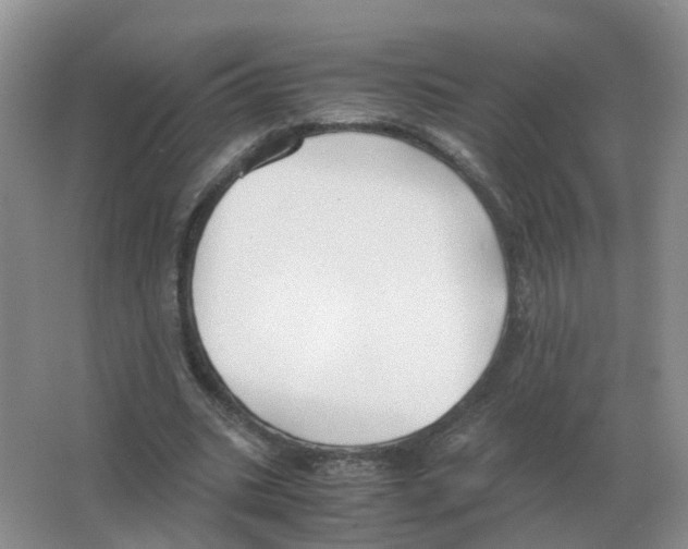 X0000063520535200602172217