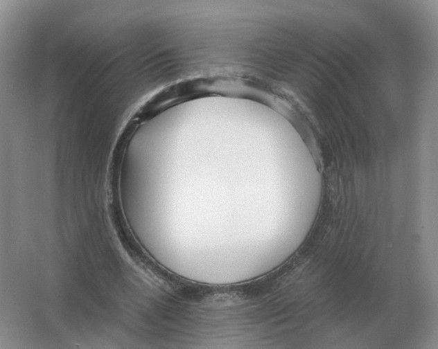 X0000063520536200602172217