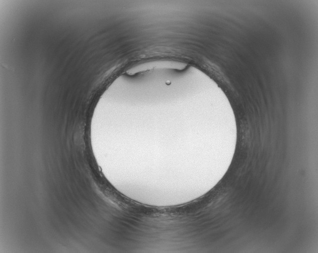 X0000063520538200602172217