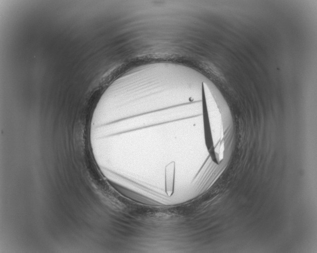 X0000063520542200602172217