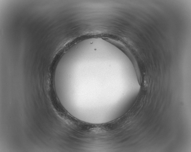 X0000063520544200602172217