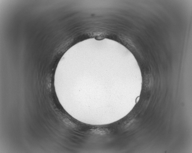 X0000063520545200602172217