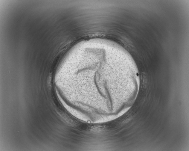 X0000063520550200602172217