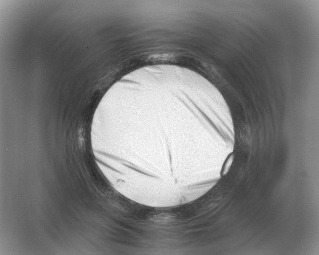 X0000063520551200602172217