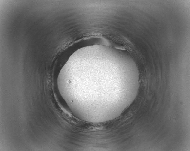 X0000063520552200602172217