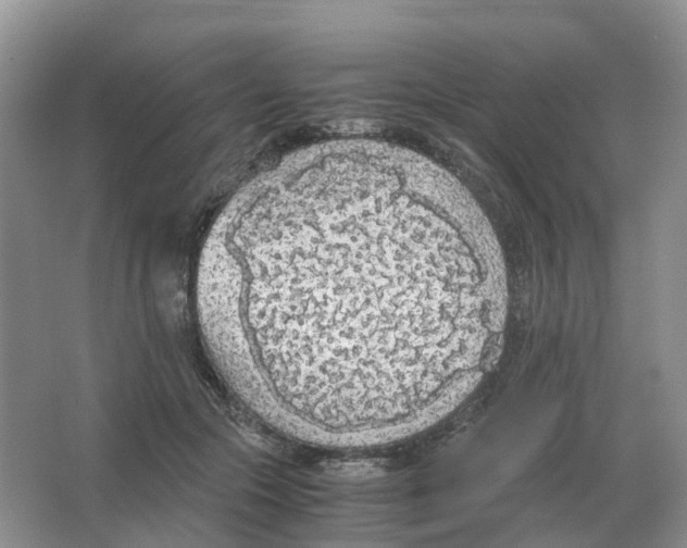 X0000063520553200602172217