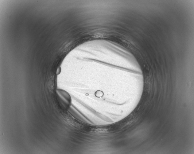 X0000063520554200602172217