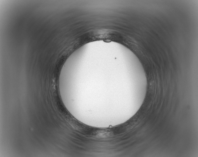 X0000063520555200602172217