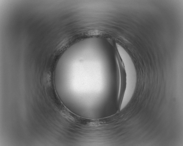 X0000063520556200602172217