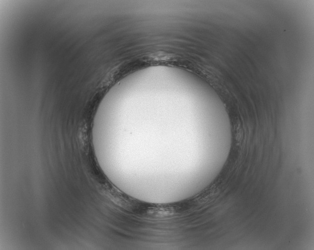 X0000063520559200602172217