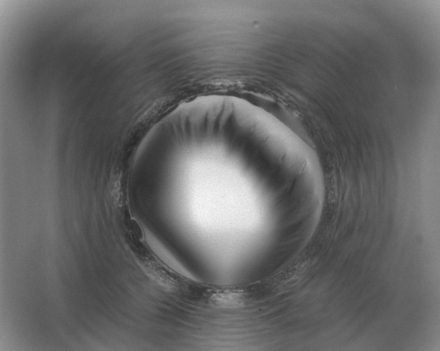 X0000063520560200602172217