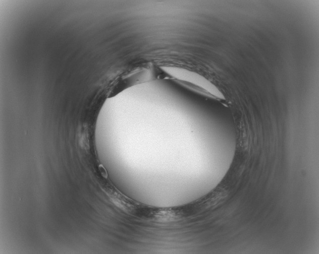 X0000063520562200602172217