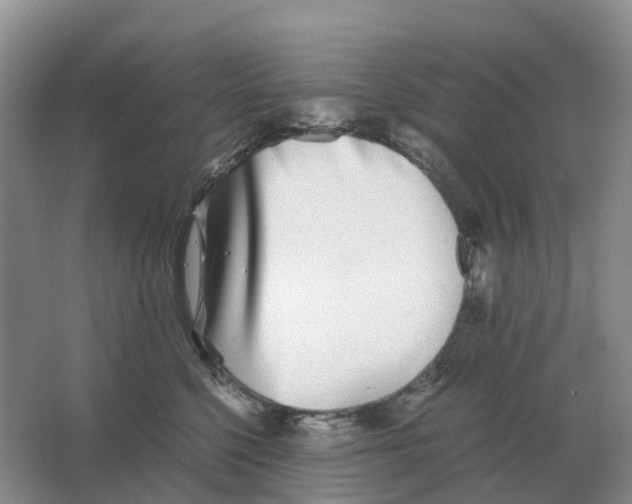 X0000063520568200602172217