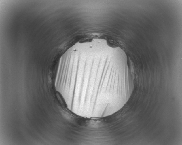 X0000063520570200602172217