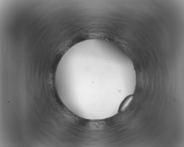 X0000063520571200602172218