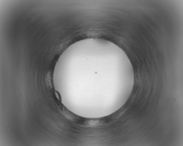 X0000063520575200602172218