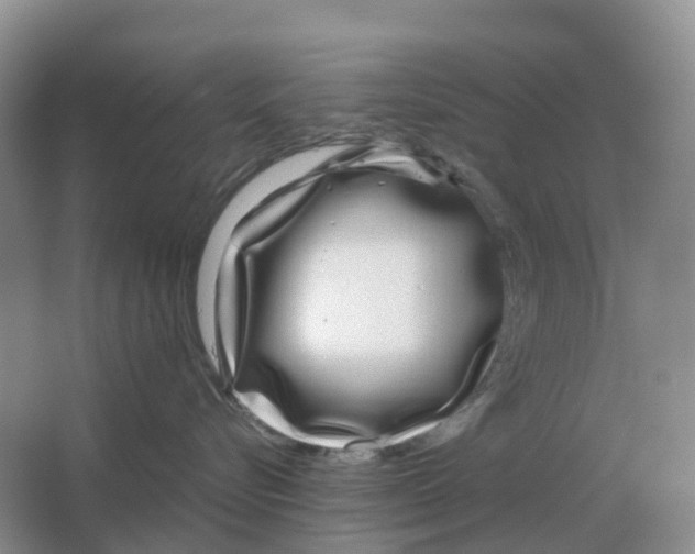 X0000063520576200602172218