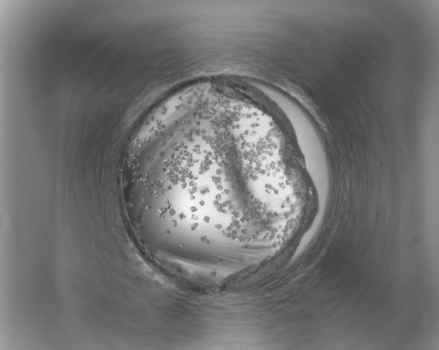 X0000063520577200602172217