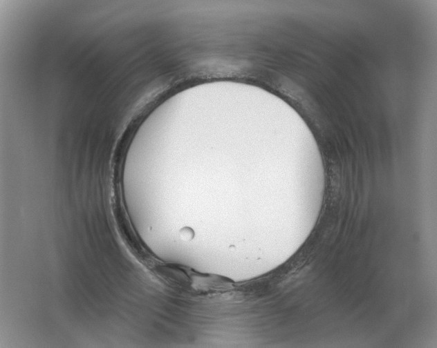 X0000063520582200602172217