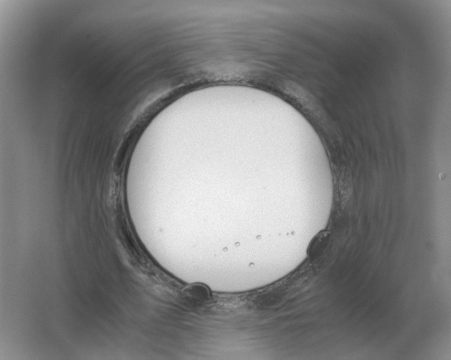 X0000063520583200602172217