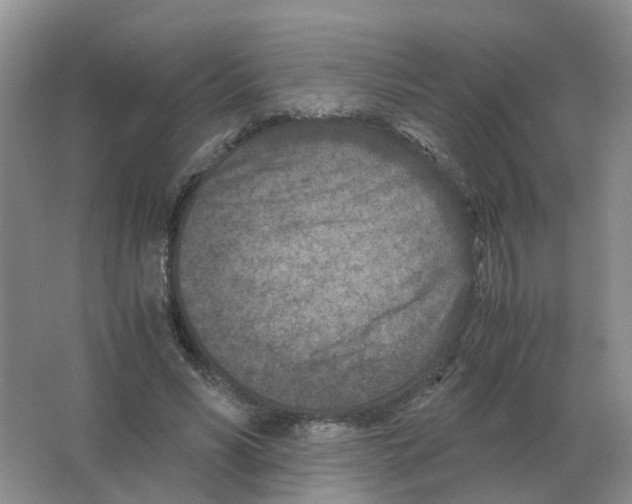 X0000063520590200602172216