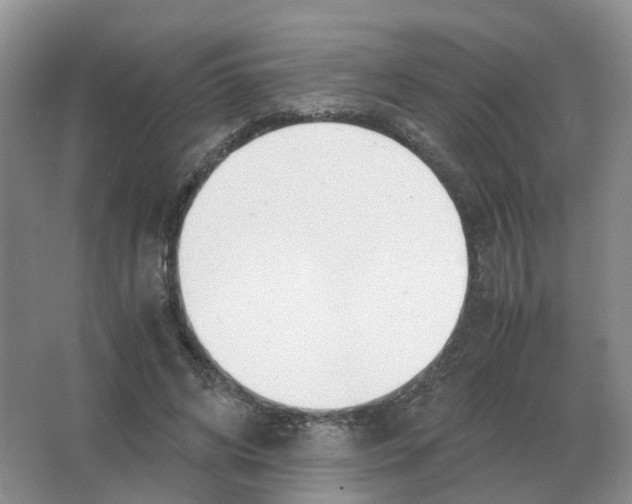 X0000063520592200602172216