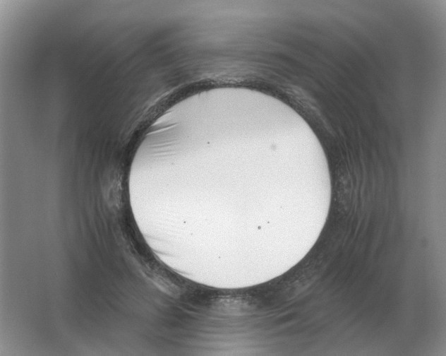 X0000063520596200602172216