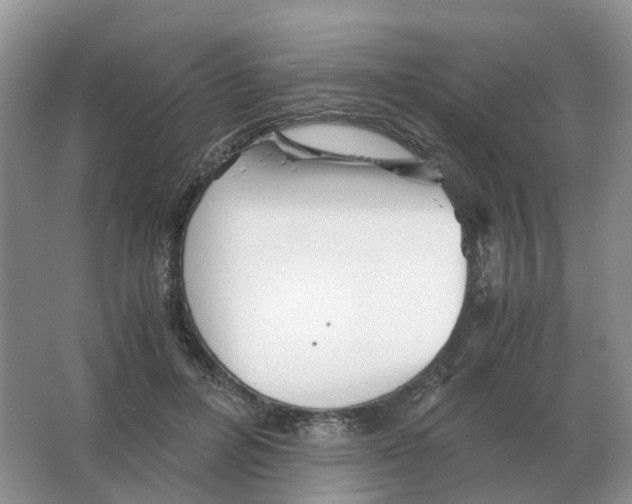 X0000063520600200602172216