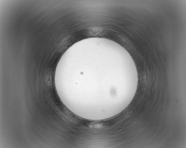 X0000063520602200602172216