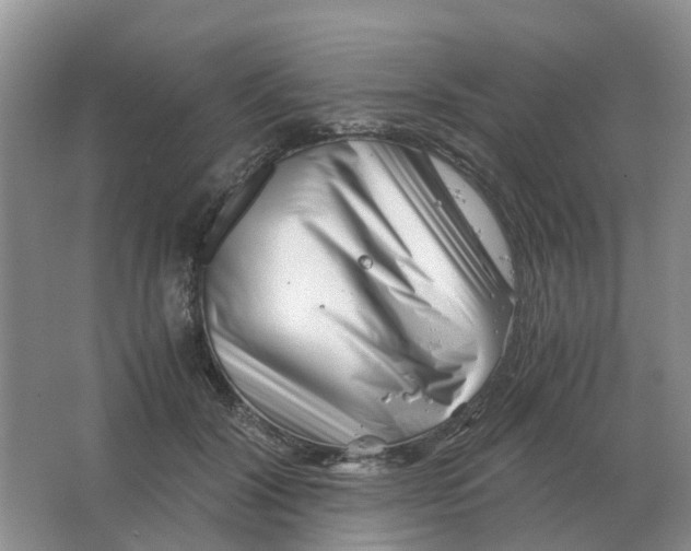 X0000063520604200602172216