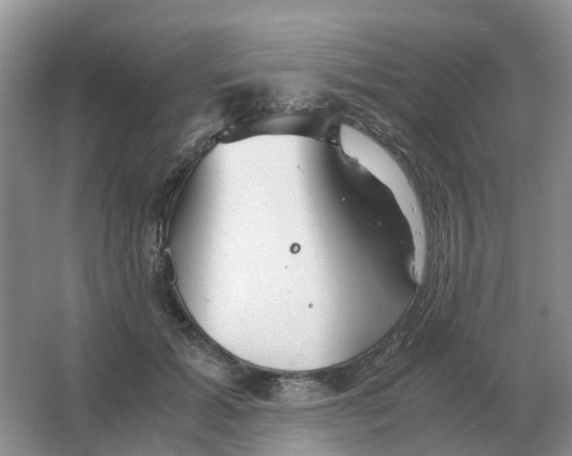 X0000063520605200602172216