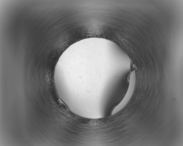 X0000063520608200602172216