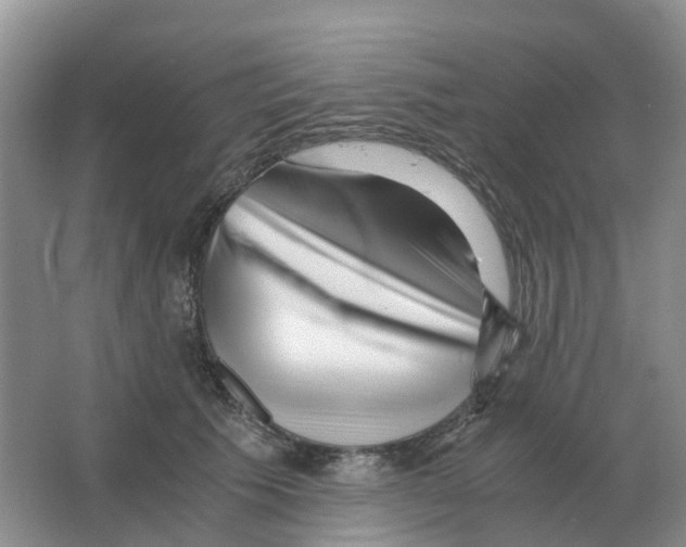 X0000063520609200602172216