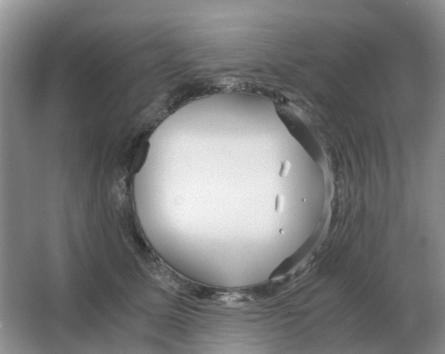 X0000063520611200602172216