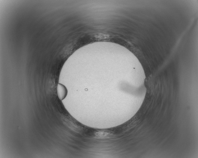 X0000063520614200602172216