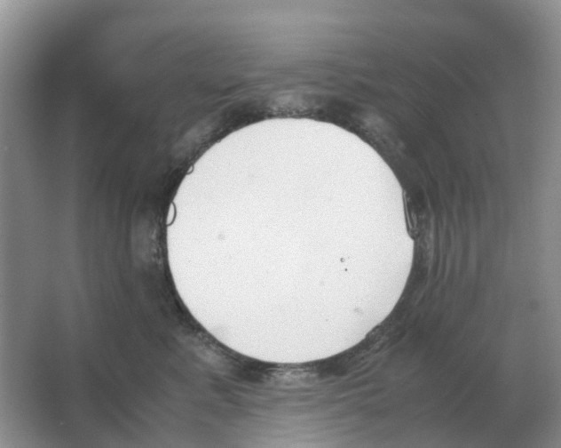 X0000063520619200602172216