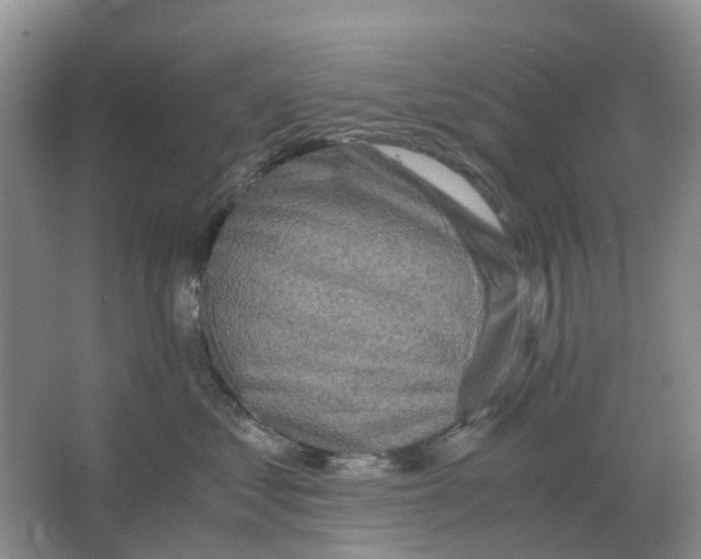 X0000063520621200602172216