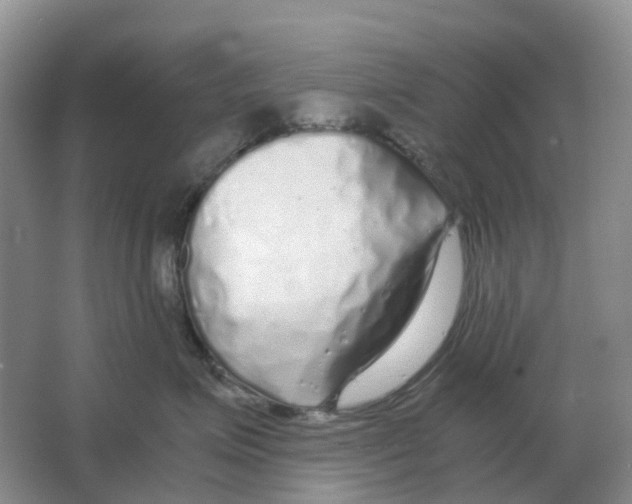 X0000063520623200602172216