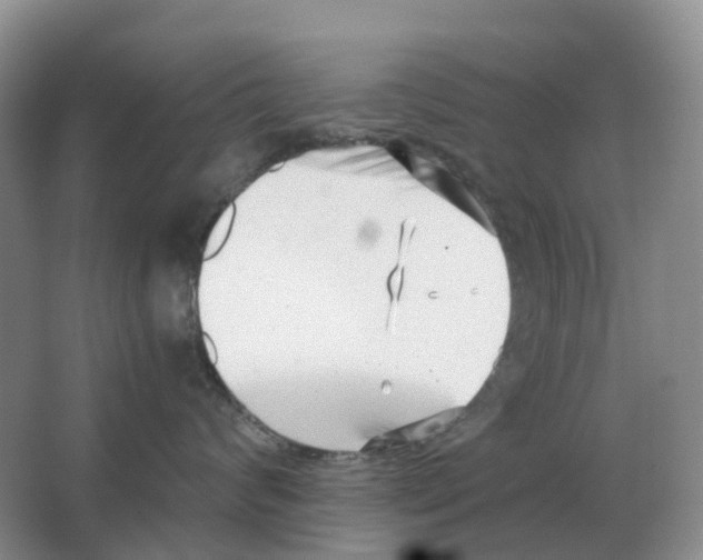 X0000063520624200602172216