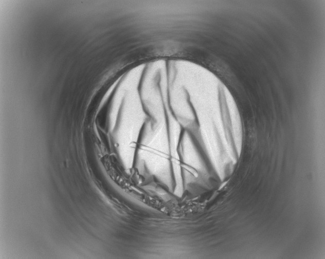 X0000063520626200602172215