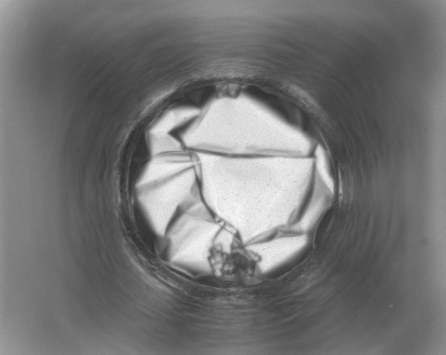 X0000063520627200602172215