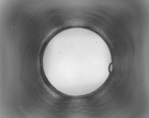 X0000063520629200602172215