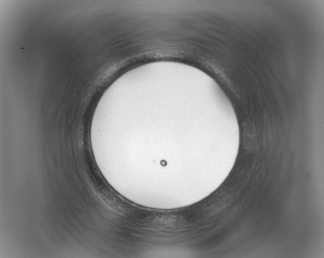 X0000063520631200602172215