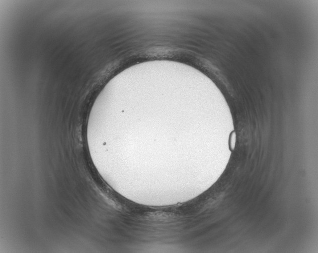 X0000063520633200602172215