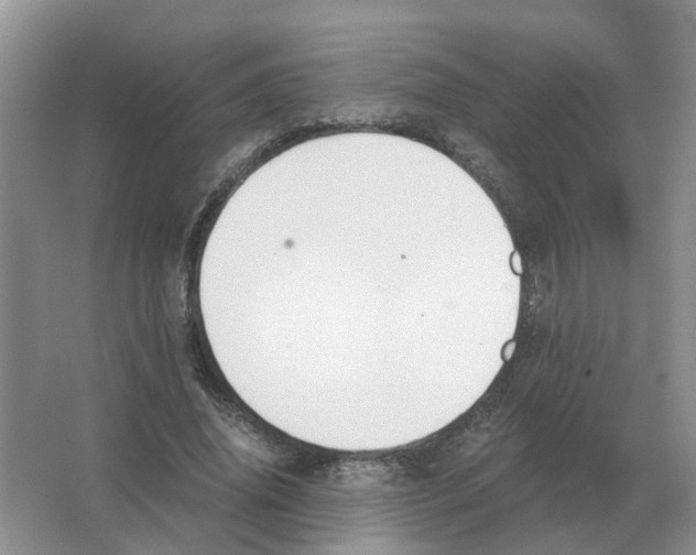 X0000063520636200602172215