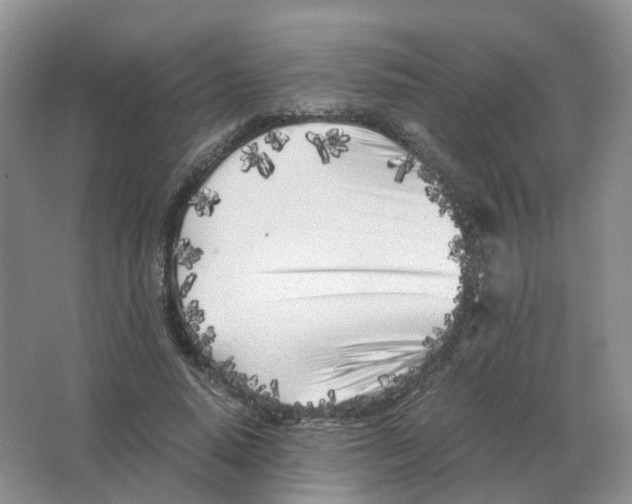 X0000063520640200602172215