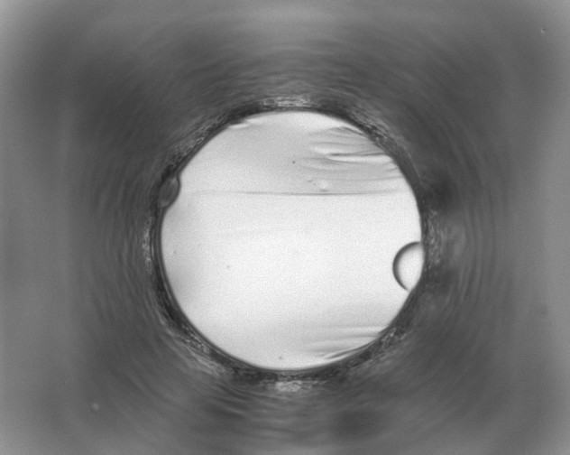 X0000063520641200602172215