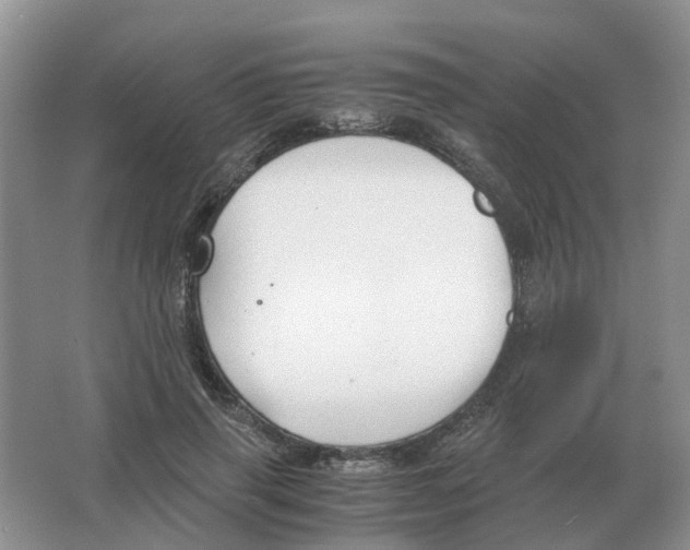 X0000063520645200602172215