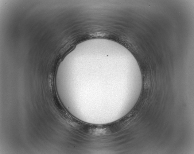 X0000063520647200602172215